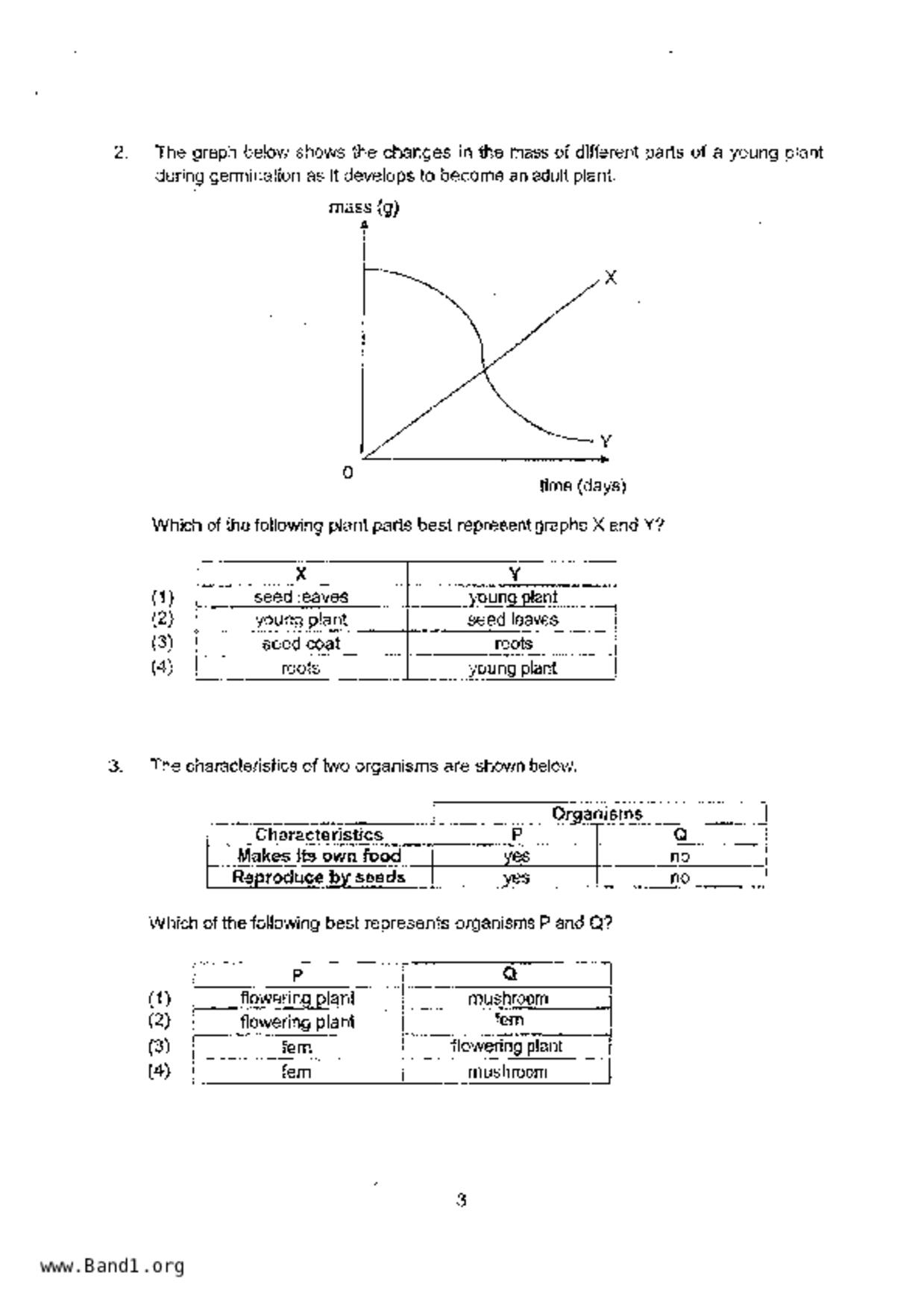 P6Science試卷