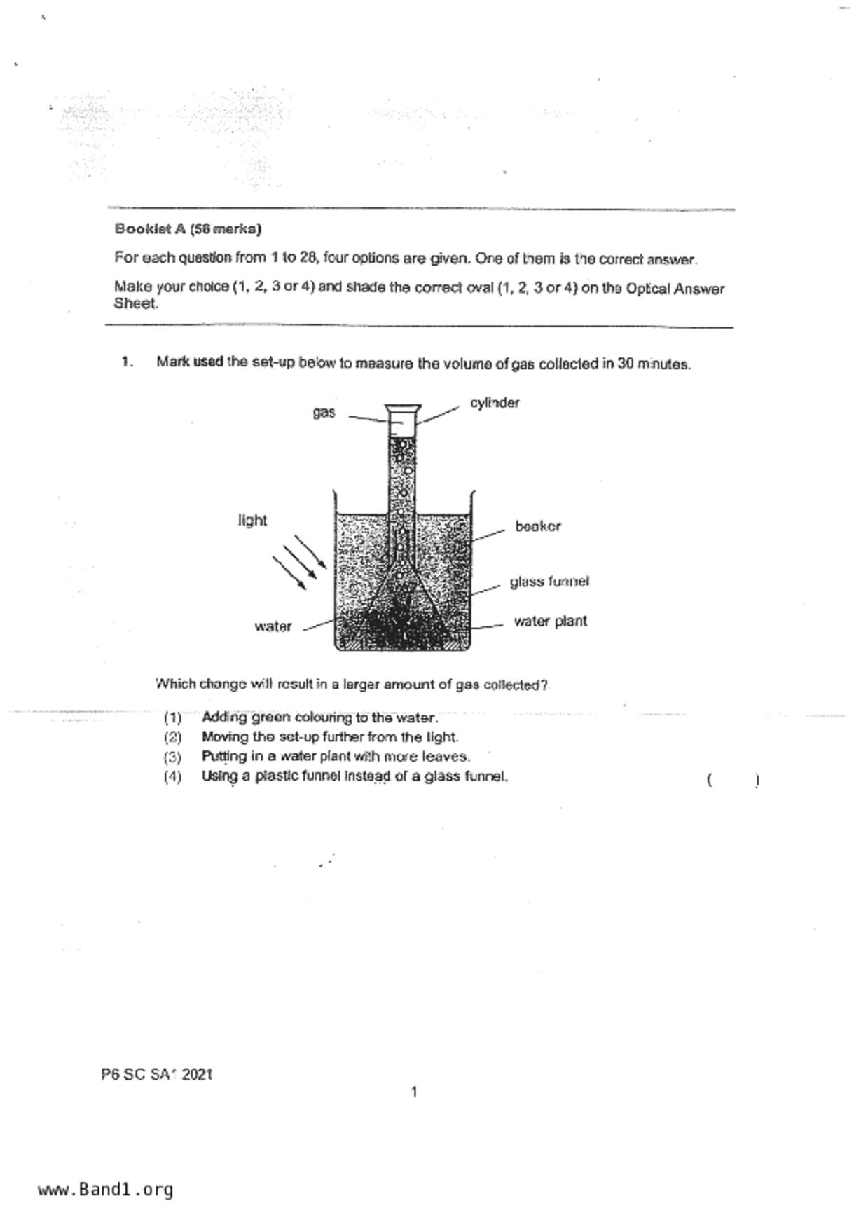 P6Science試卷