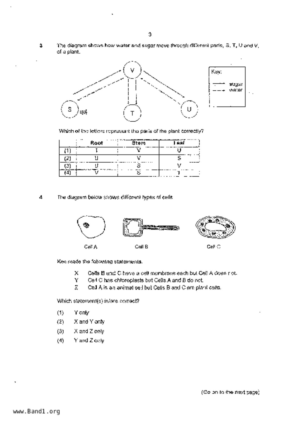P6Science試卷