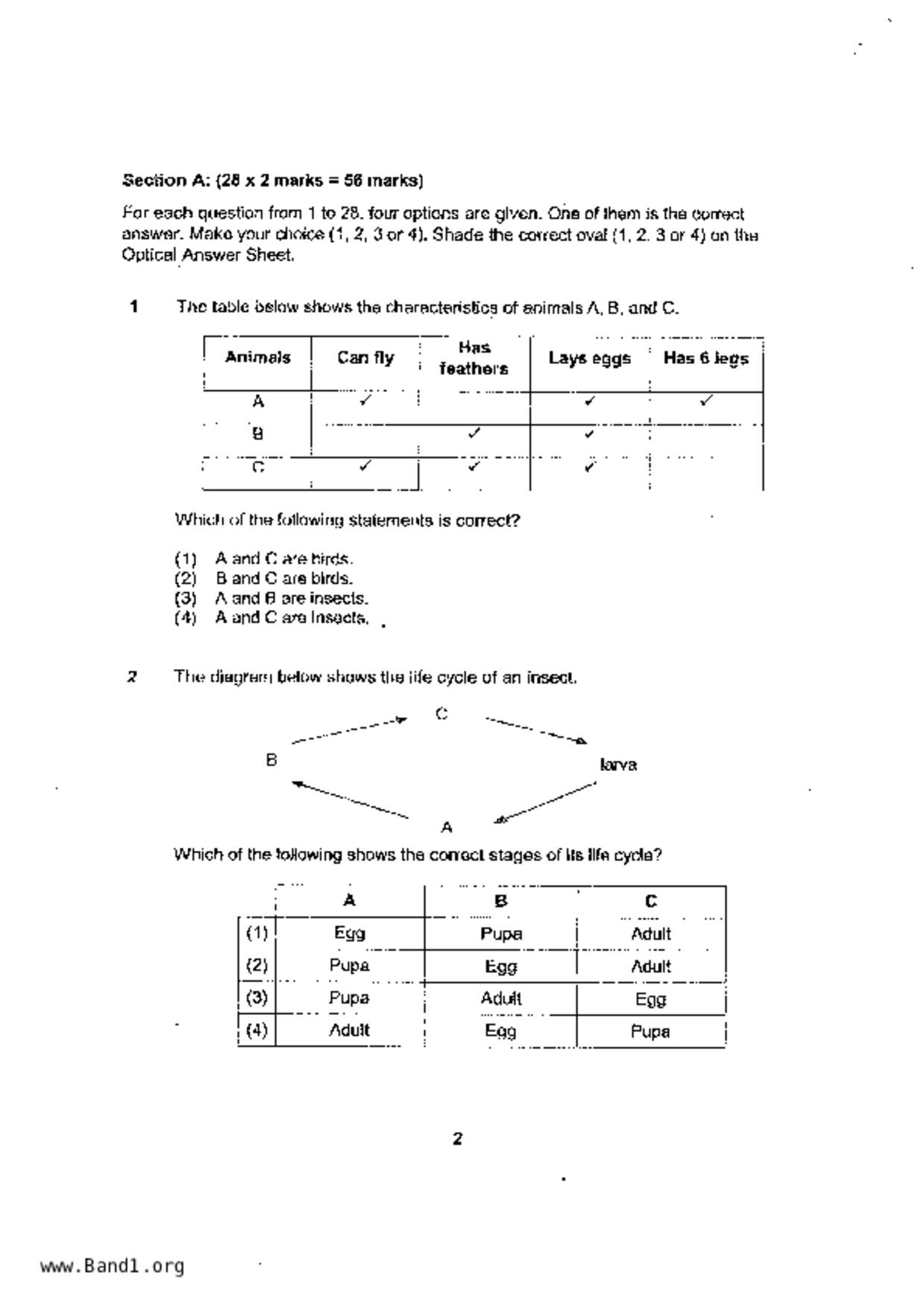 P6Science試卷