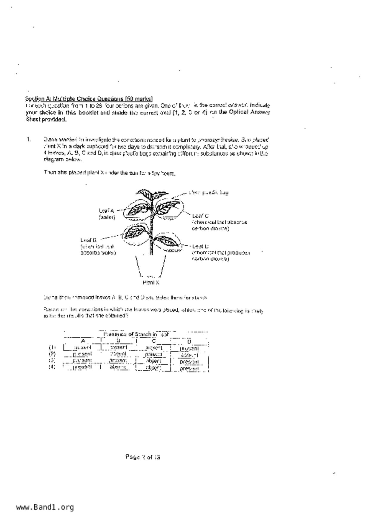 P6Science試卷