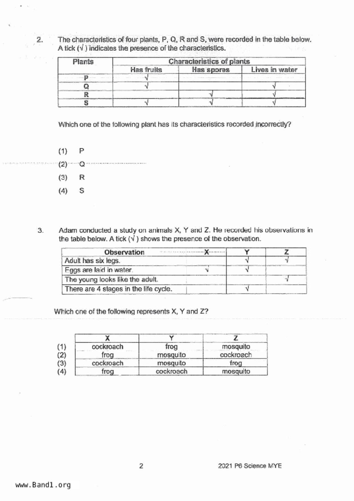 P6Science試卷