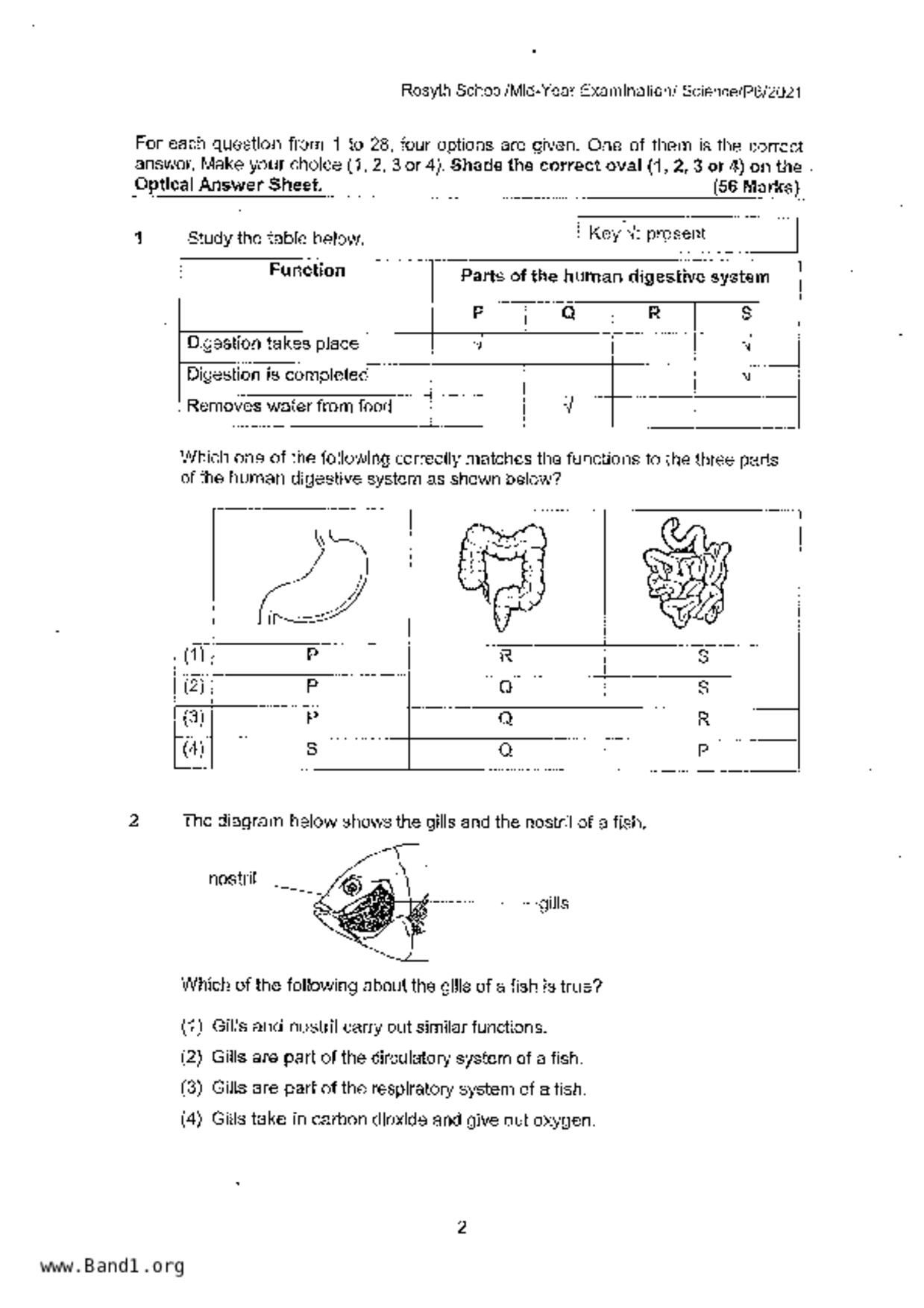 P6Science試卷