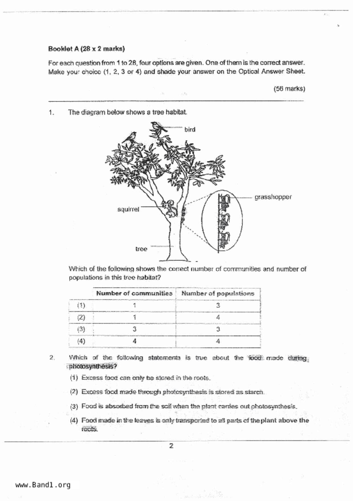 P6Science試卷