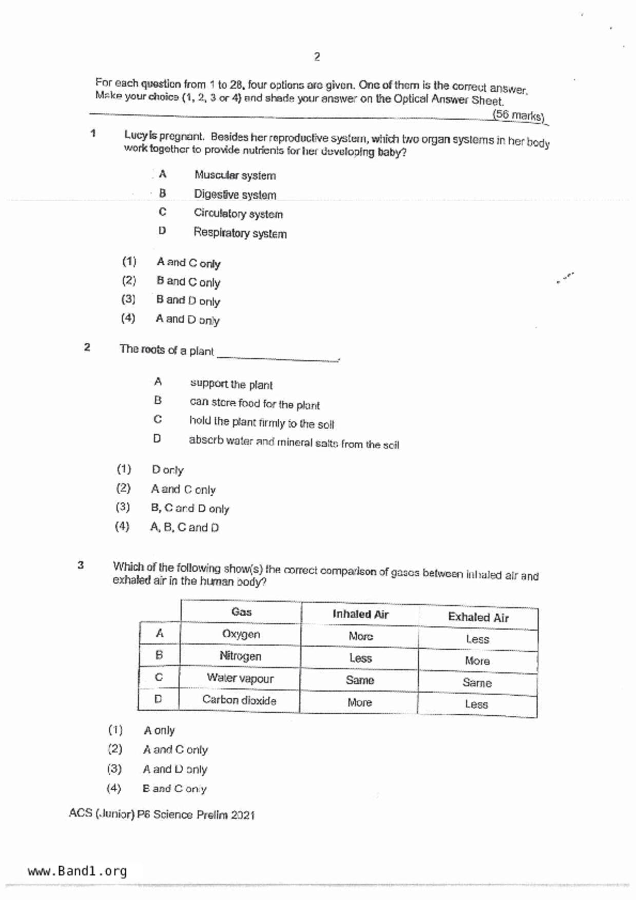 P6Science試卷