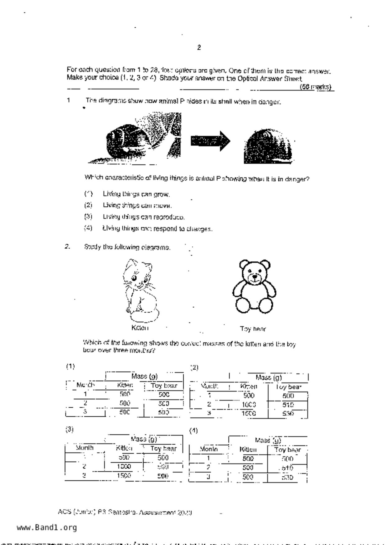 P3Science試卷
