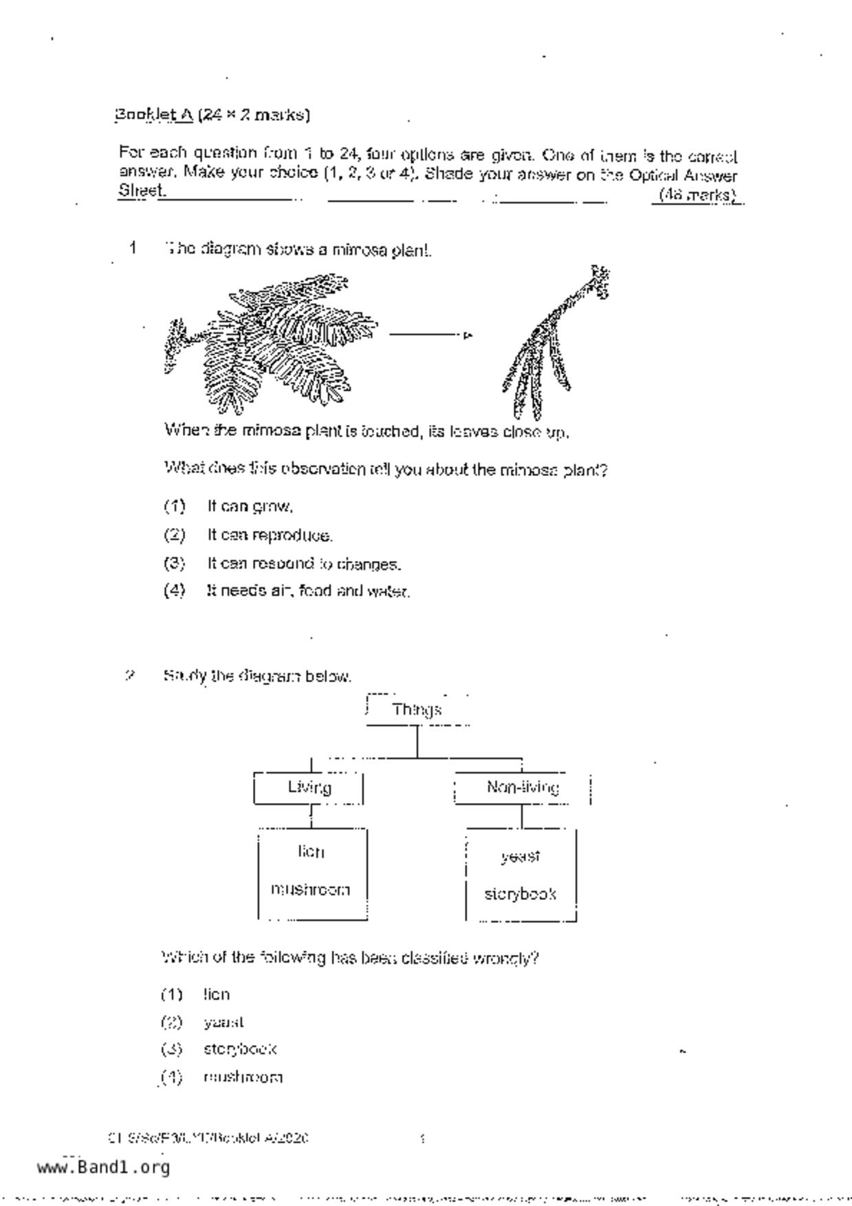 P3Science試卷