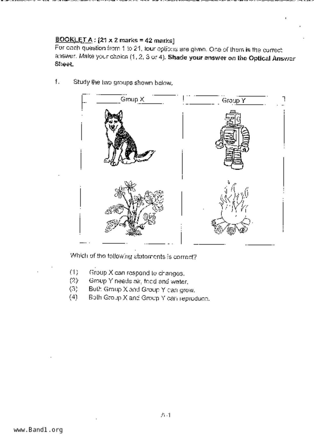 P3Science試卷
