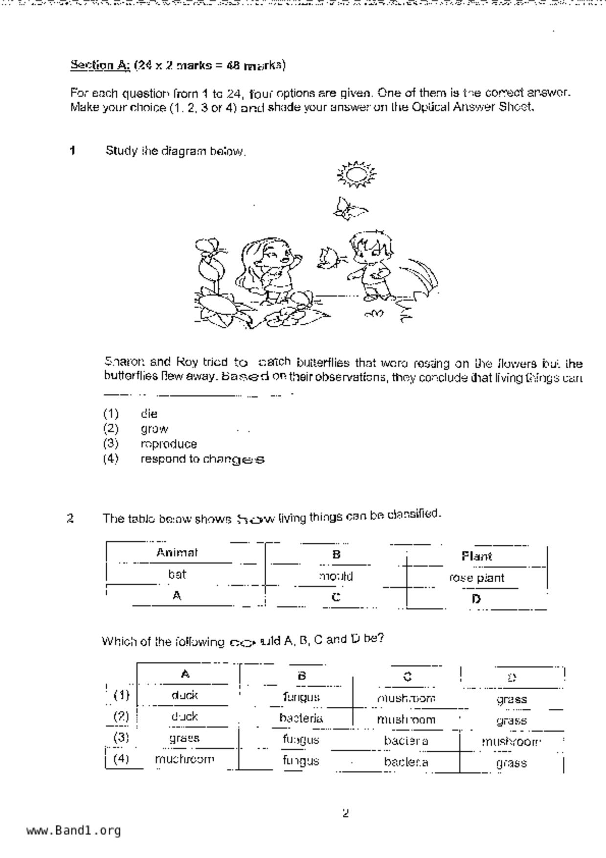 P3Science試卷