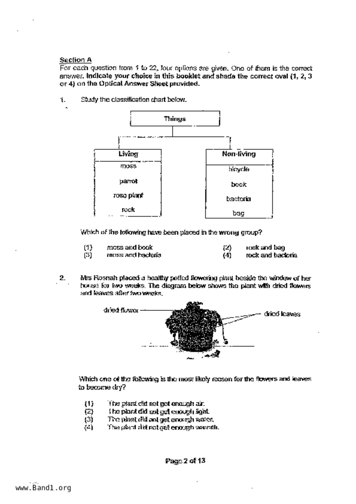 P3Science試卷