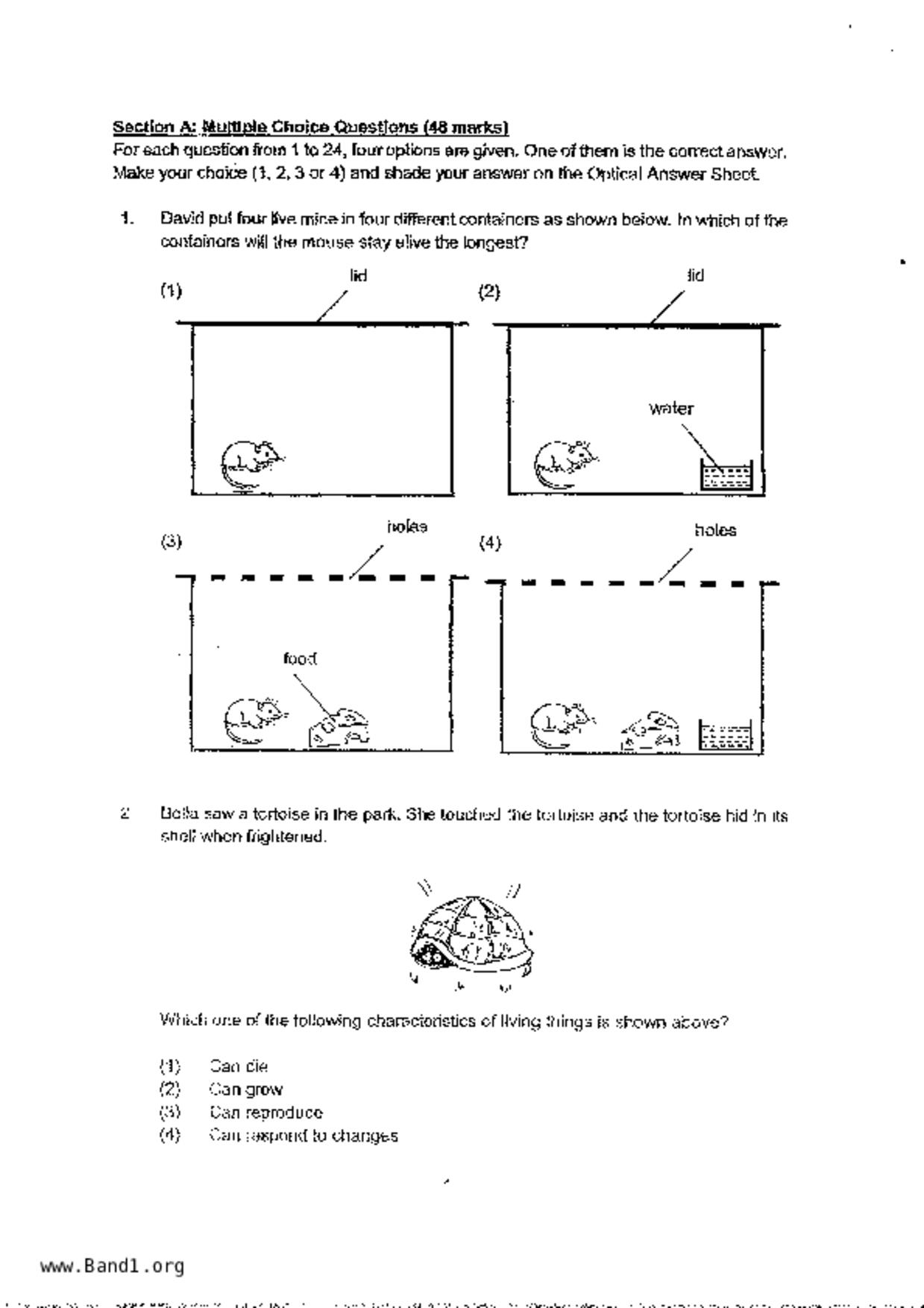 P3Science試卷
