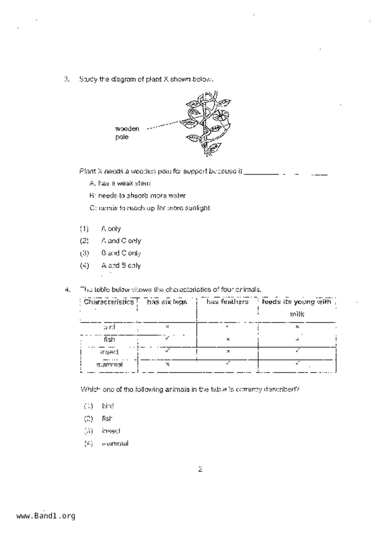 P3Science試卷