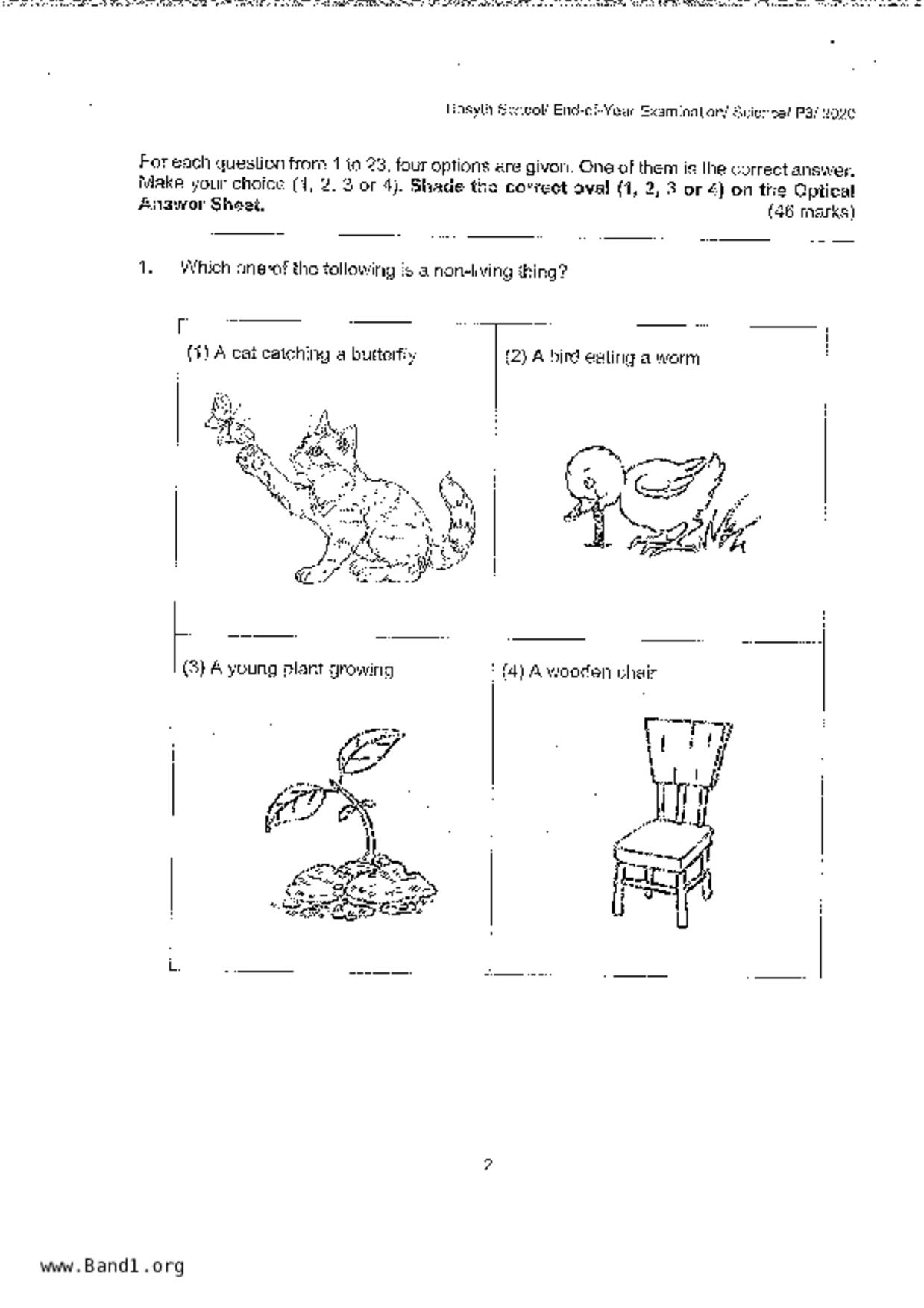 P3Science試卷