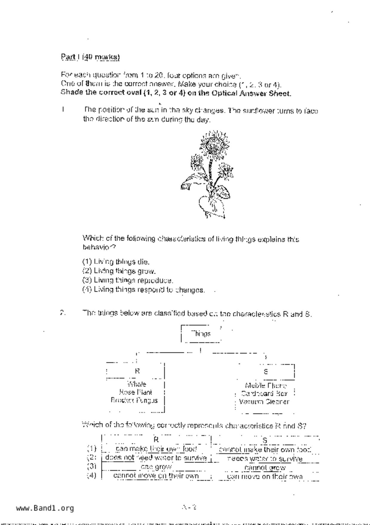 P3Science試卷