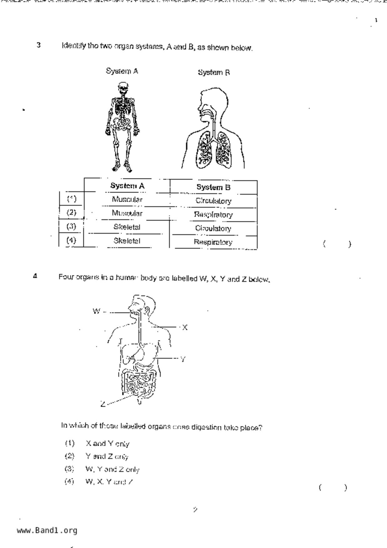 P3Science試卷