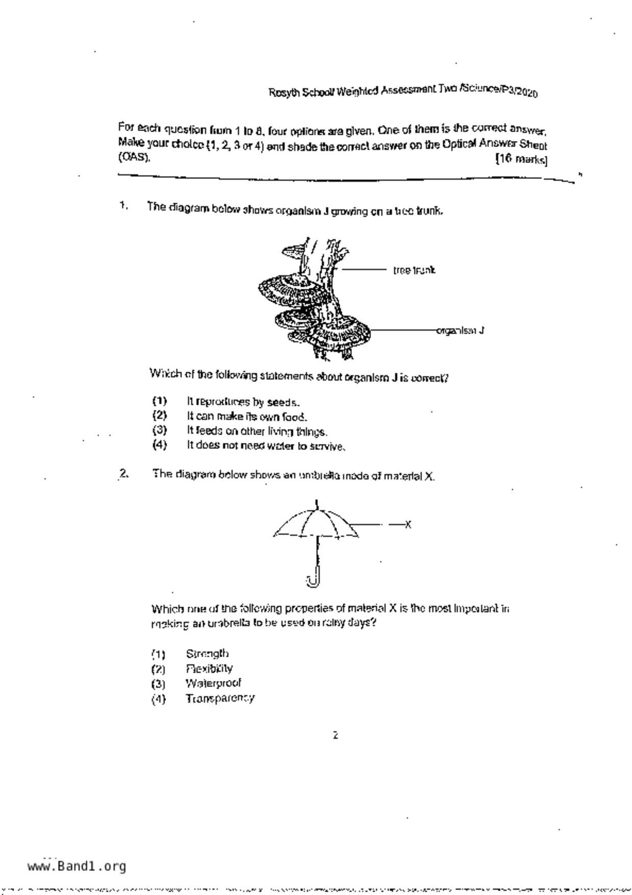 P3Science試卷