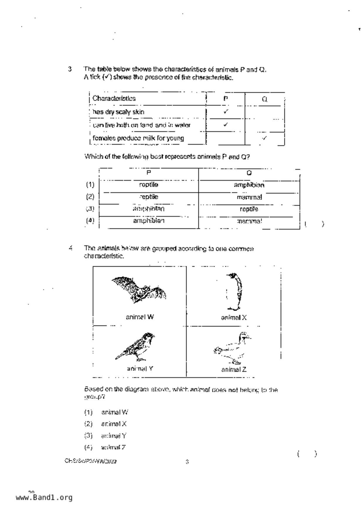 P3Science試卷