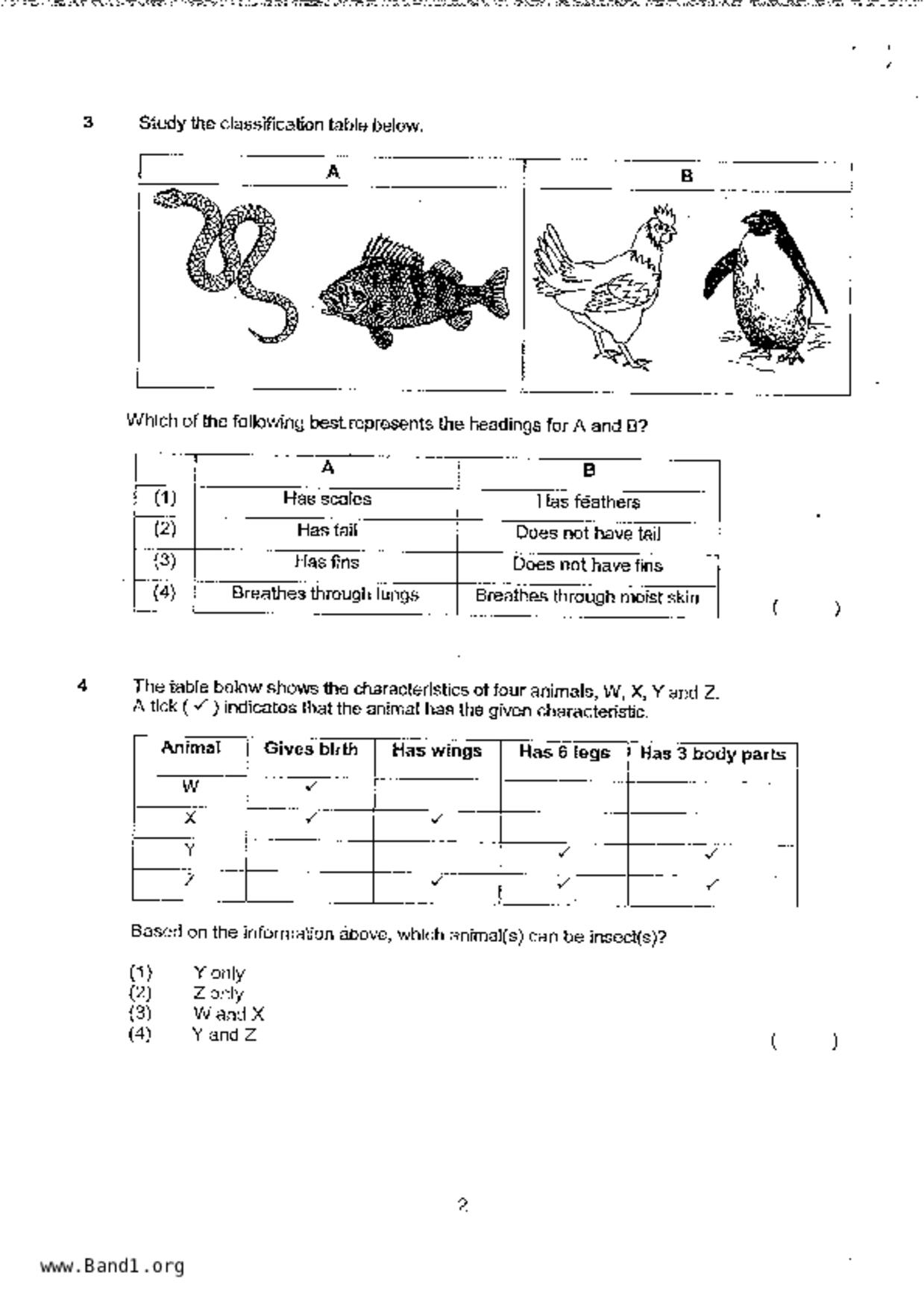 P3Science試卷