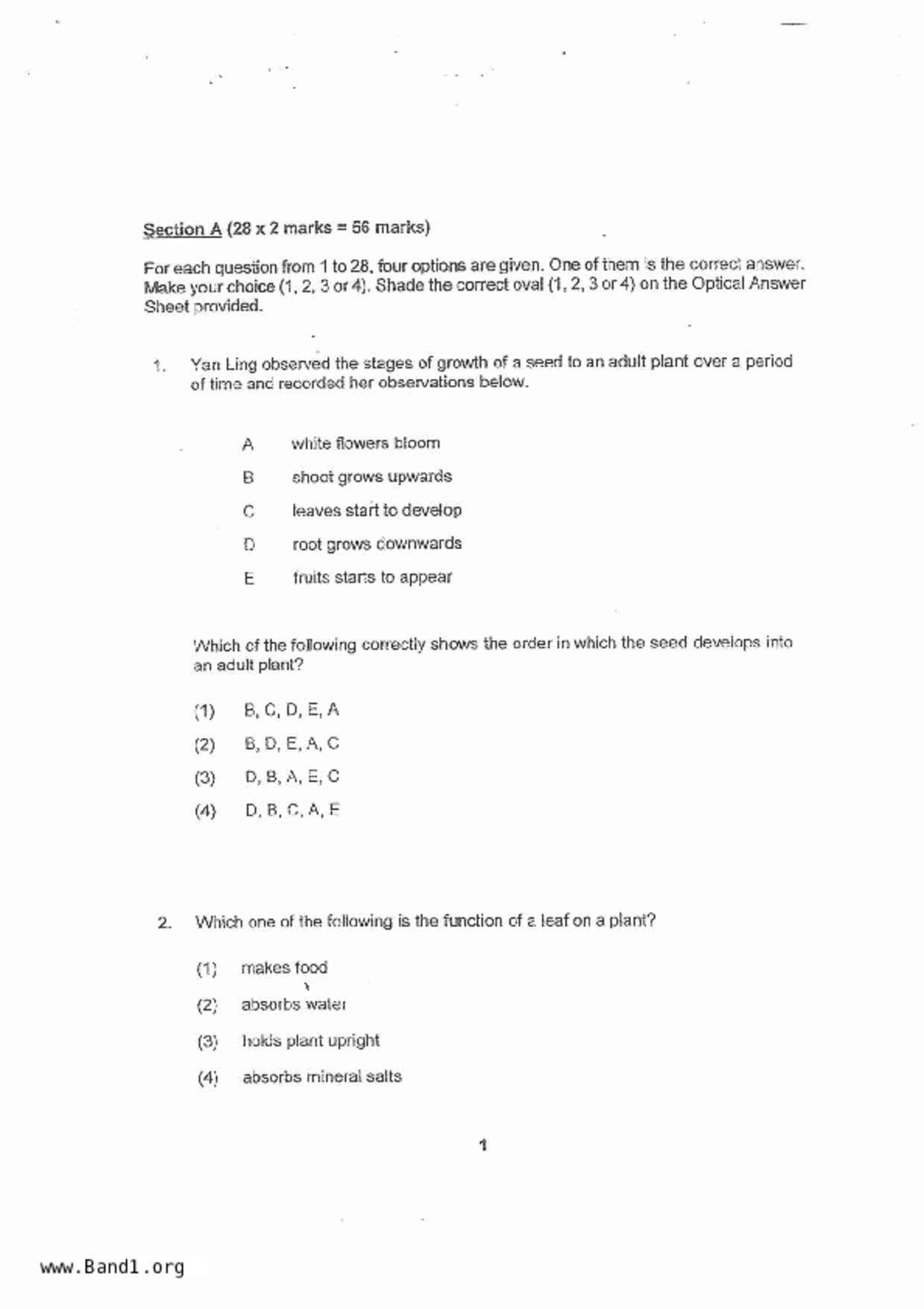 P4Science試卷