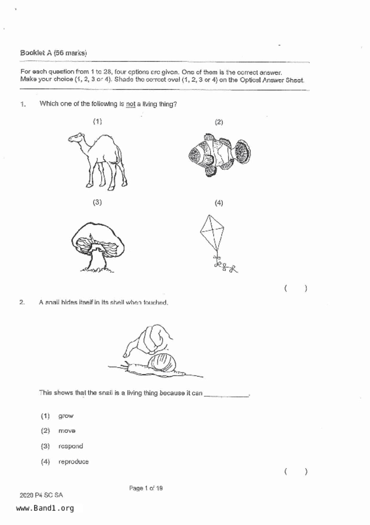 P4Science試卷