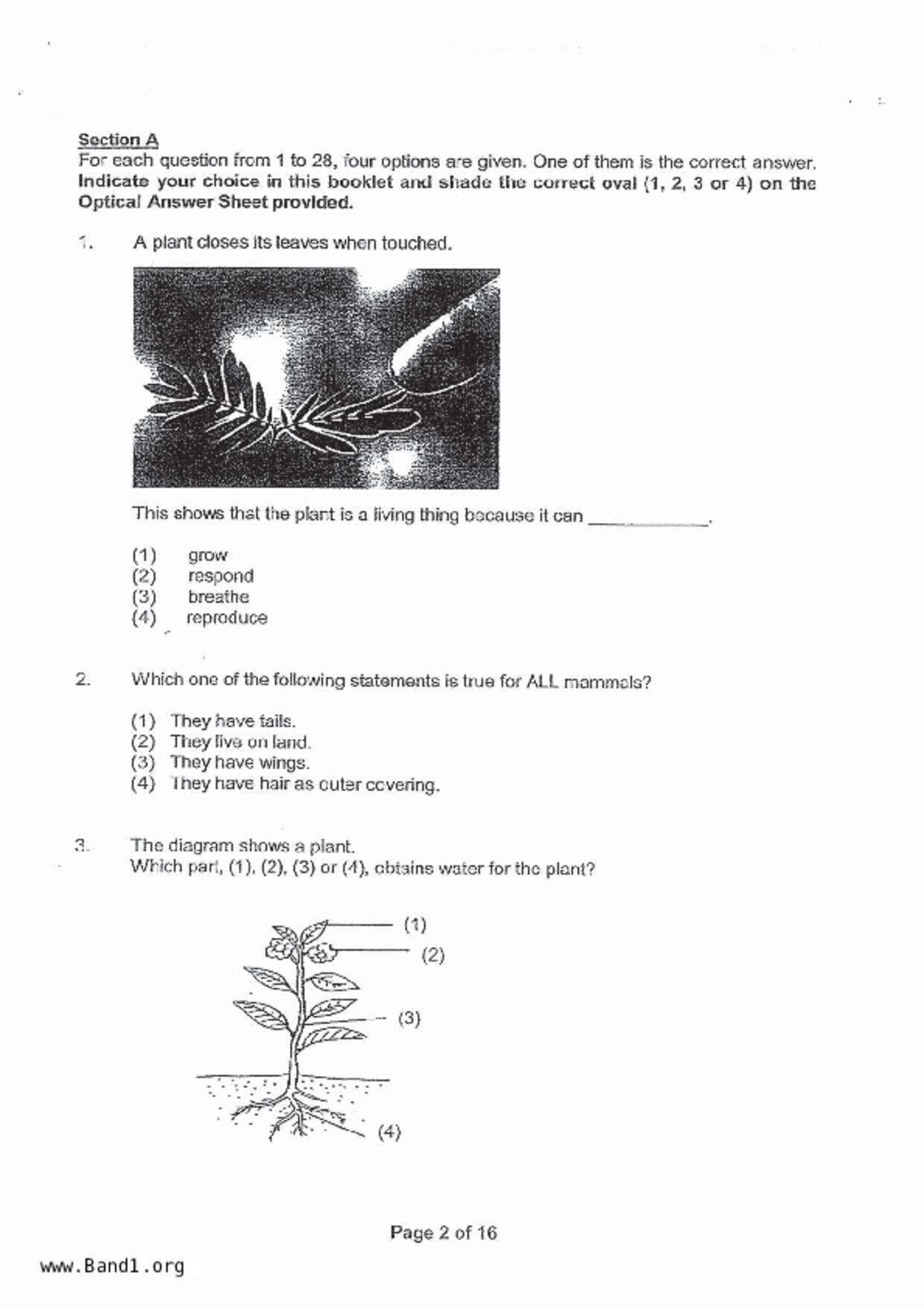 P4Science試卷