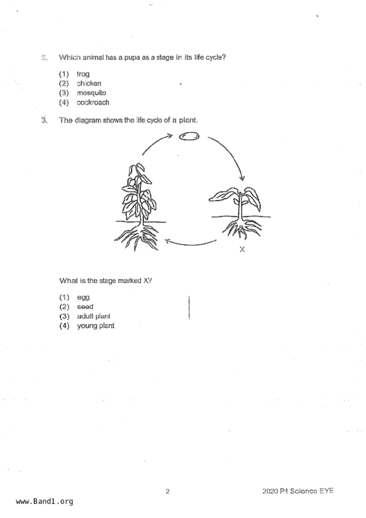 P4Science試卷