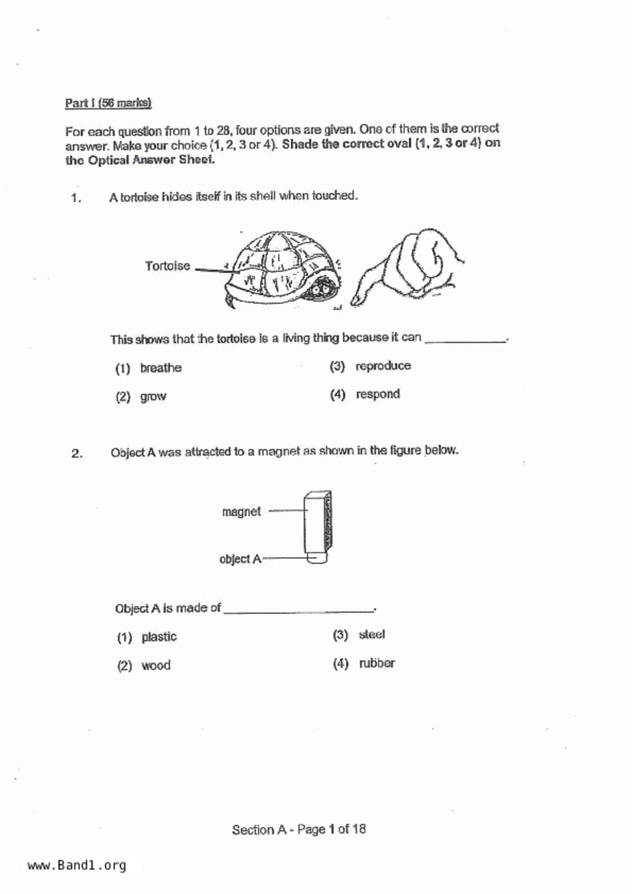 P4Science試卷