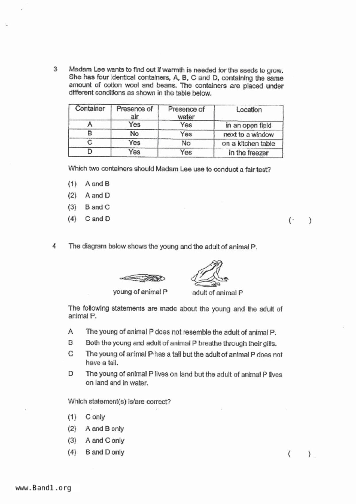 P4Science試卷