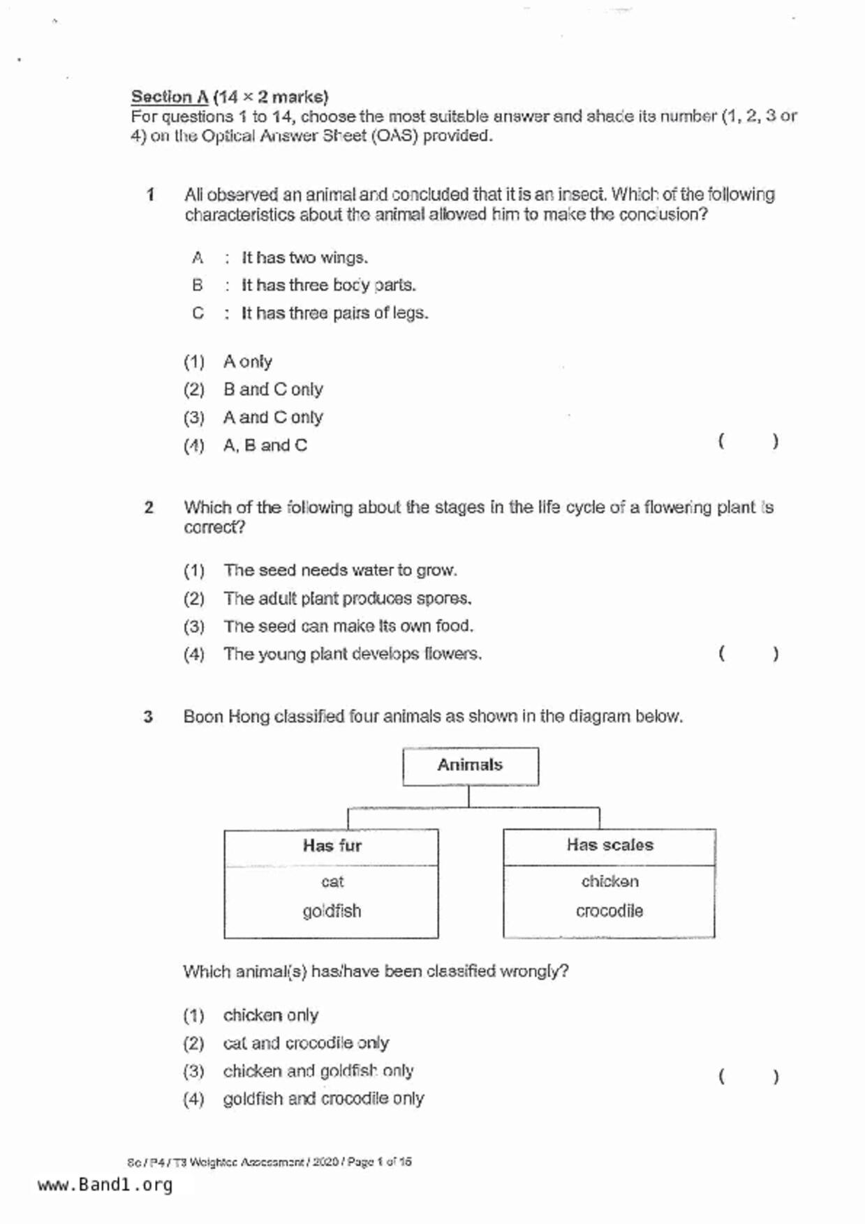 P4Science試卷