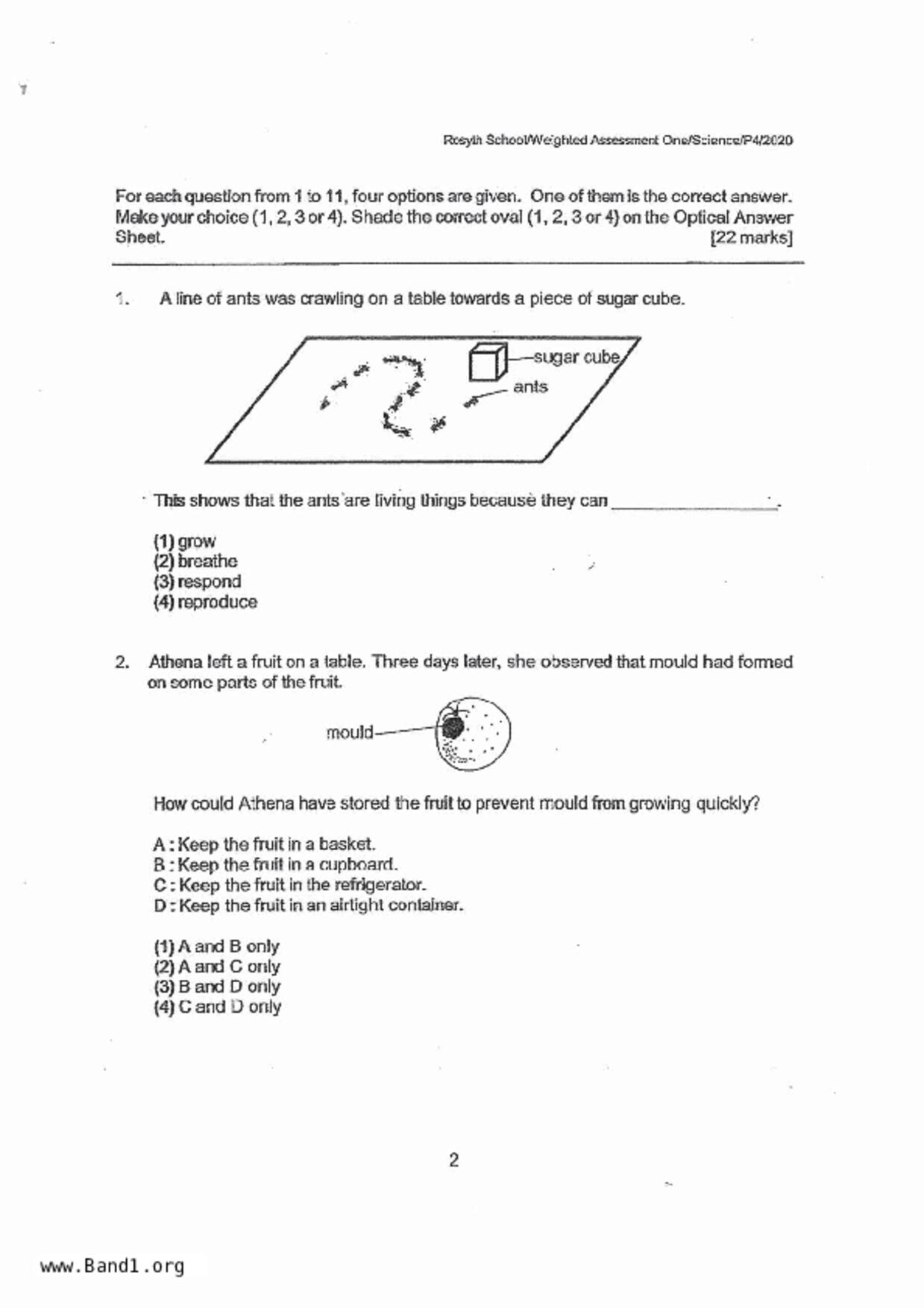 P4Science試卷