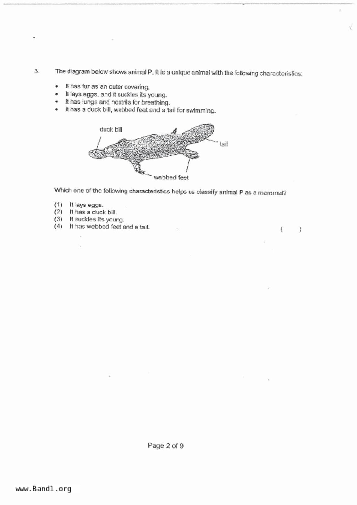 P4Science試卷