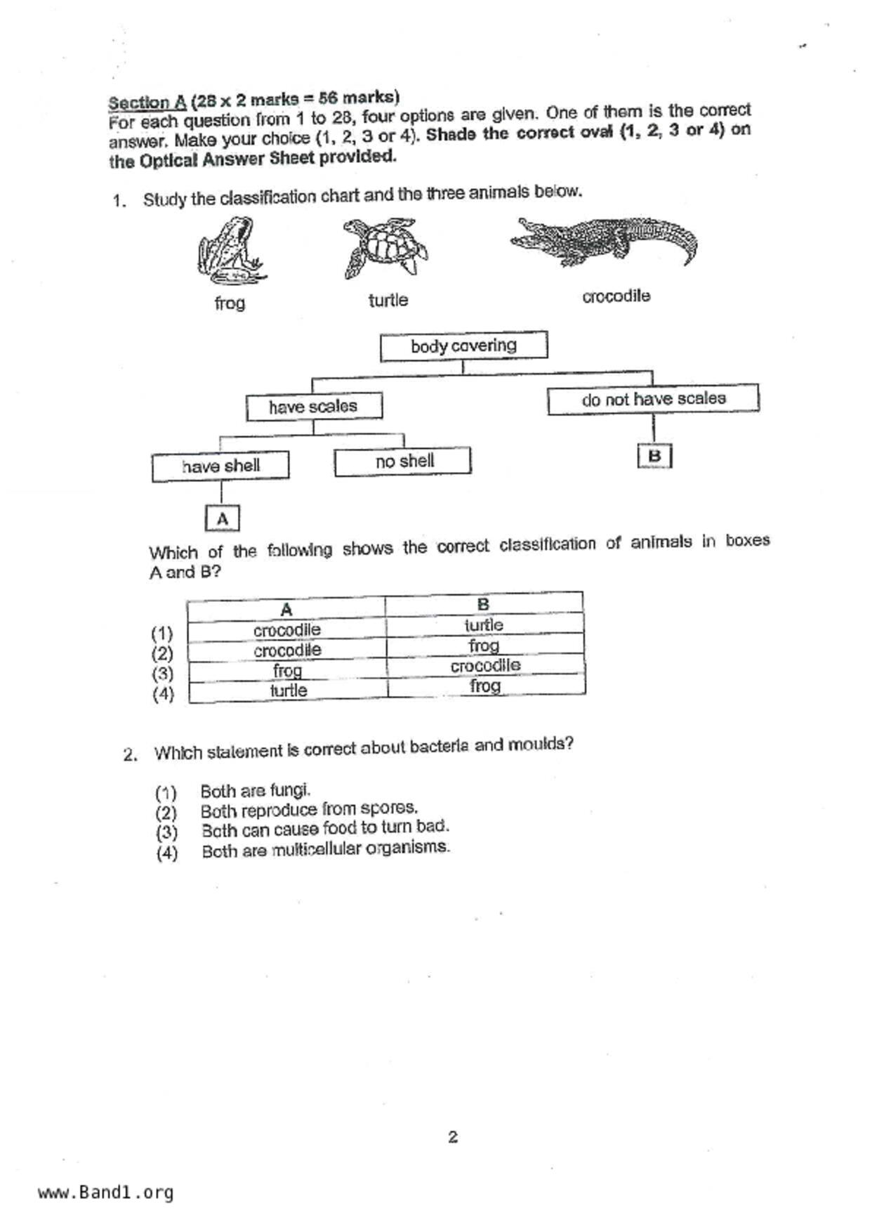P5Science試卷