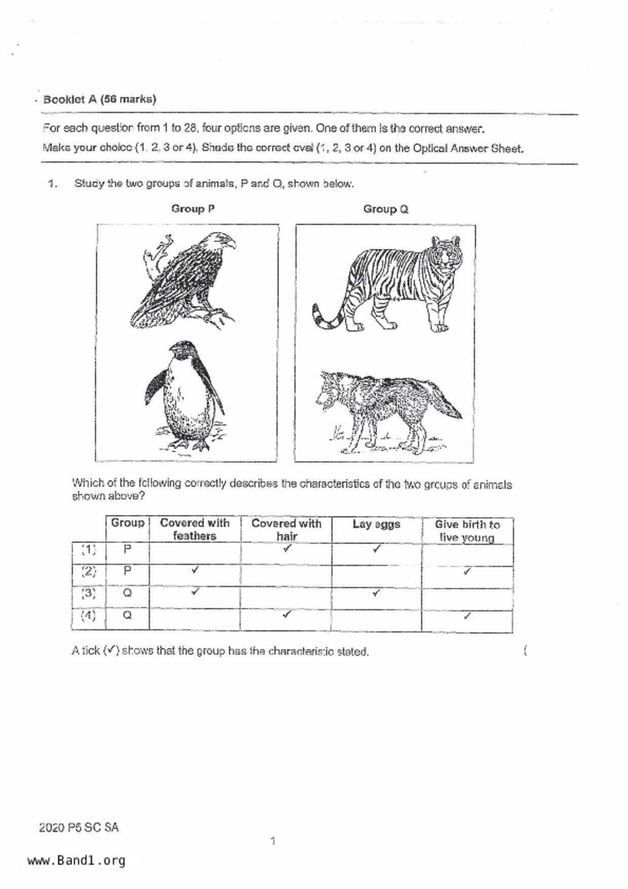 P5Science試卷