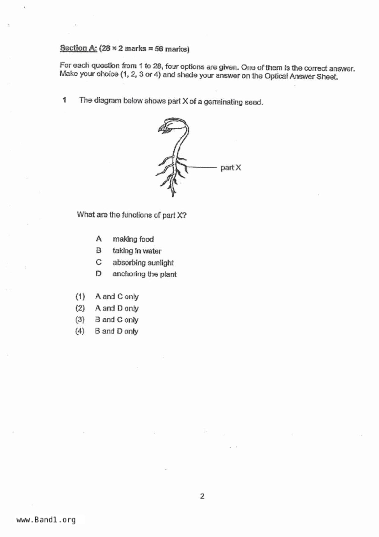 P5Science試卷