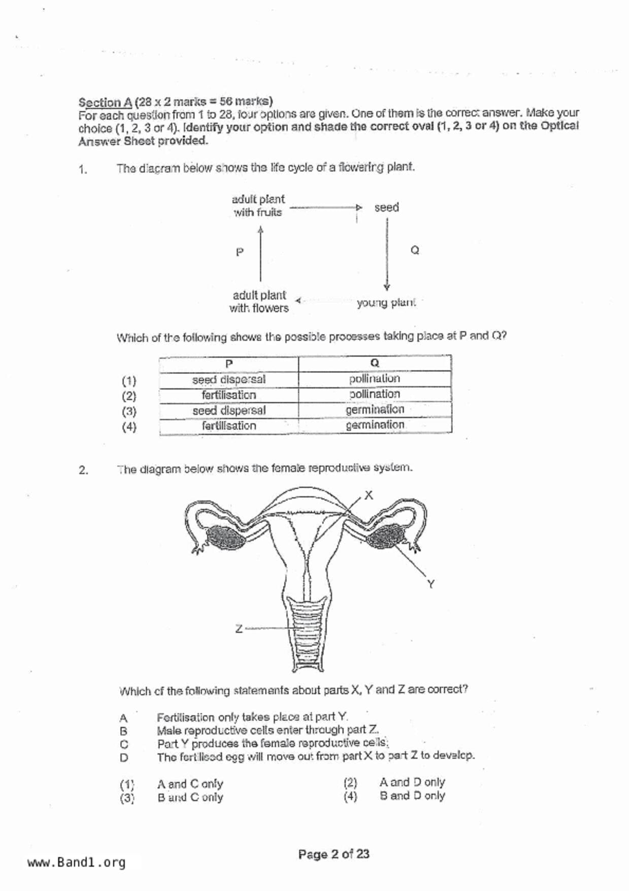 P5Science試卷