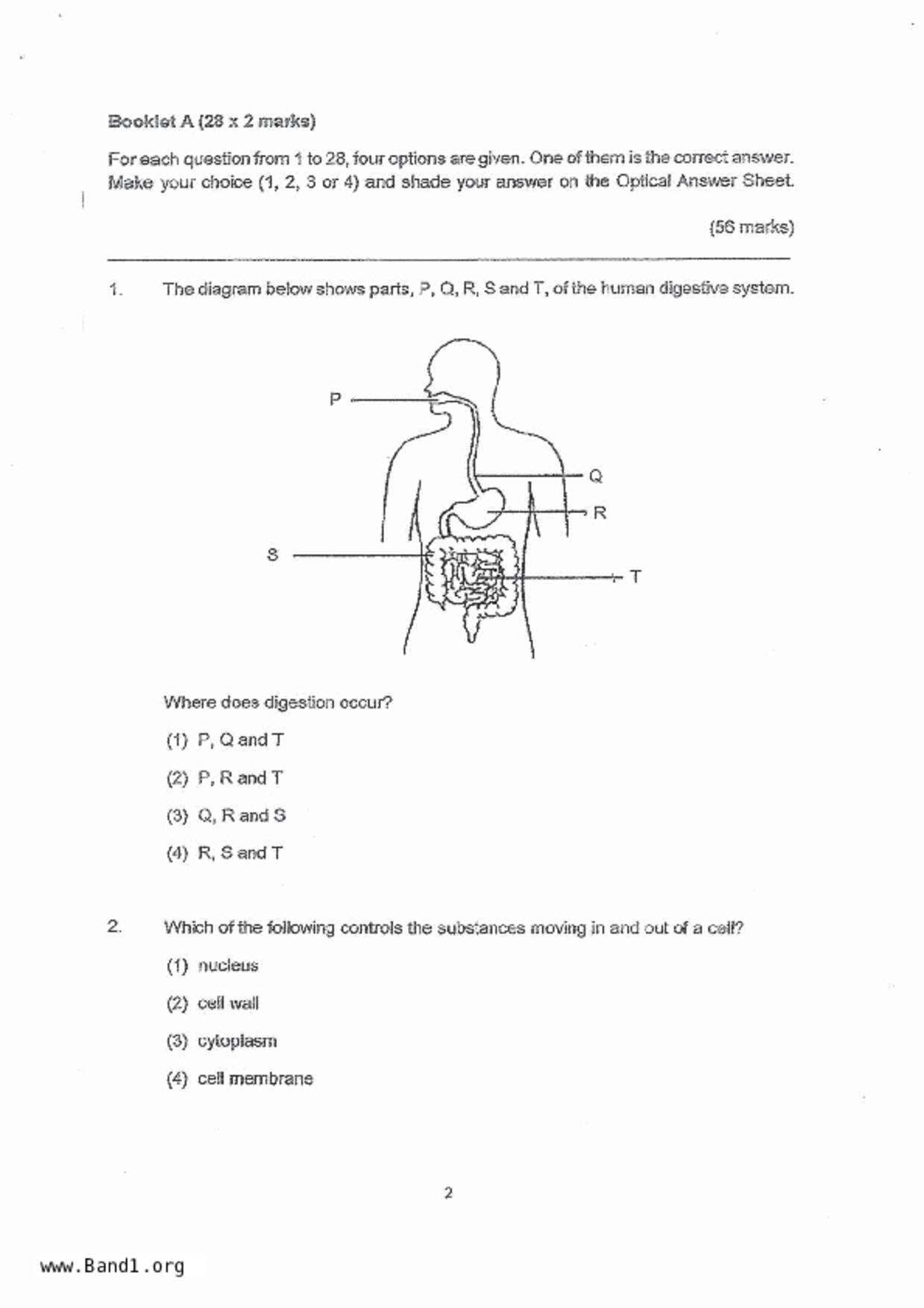 P5Science試卷