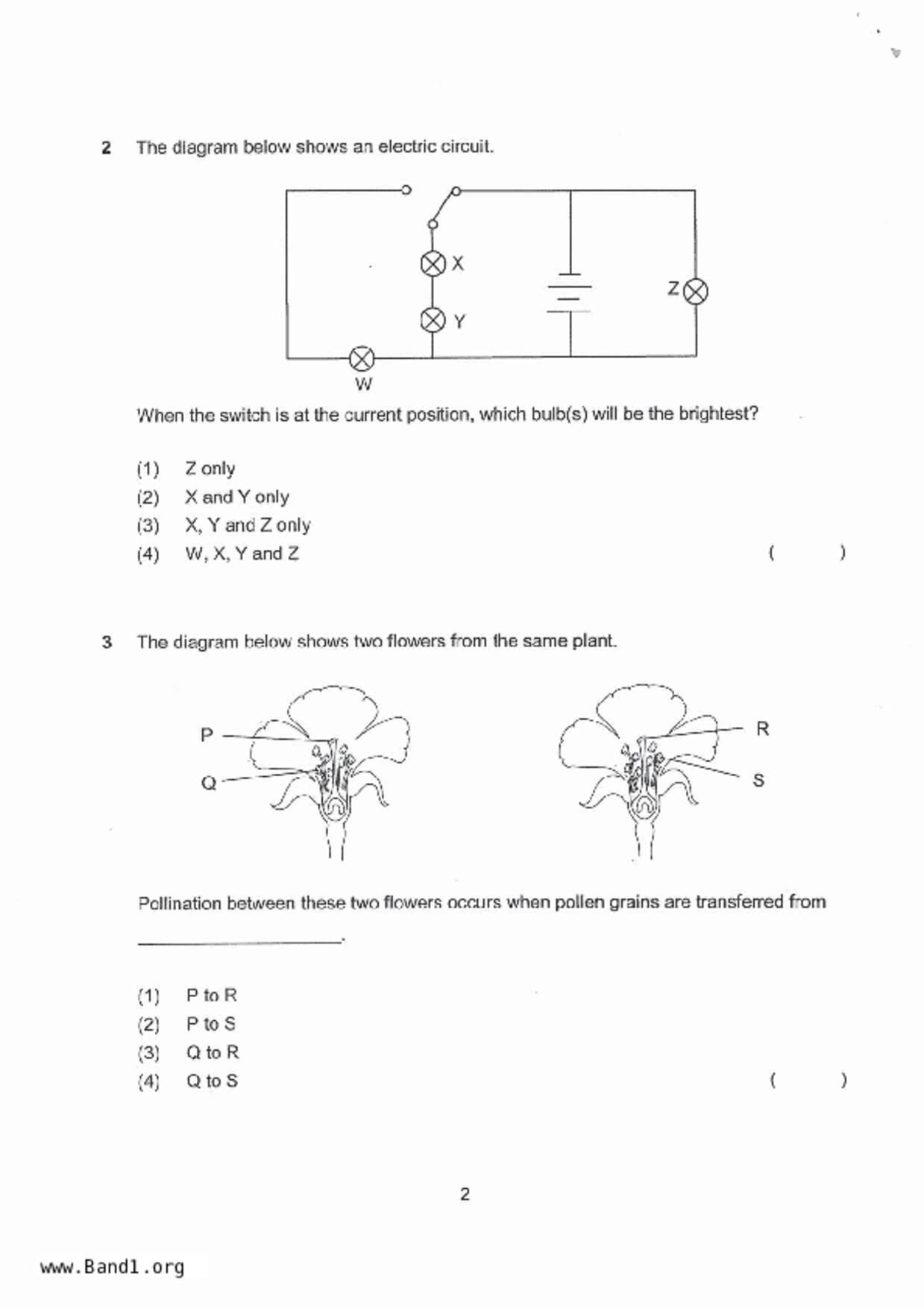 P5Science試卷