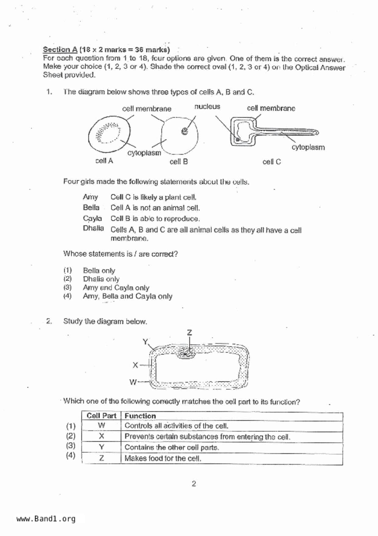 P5Science試卷