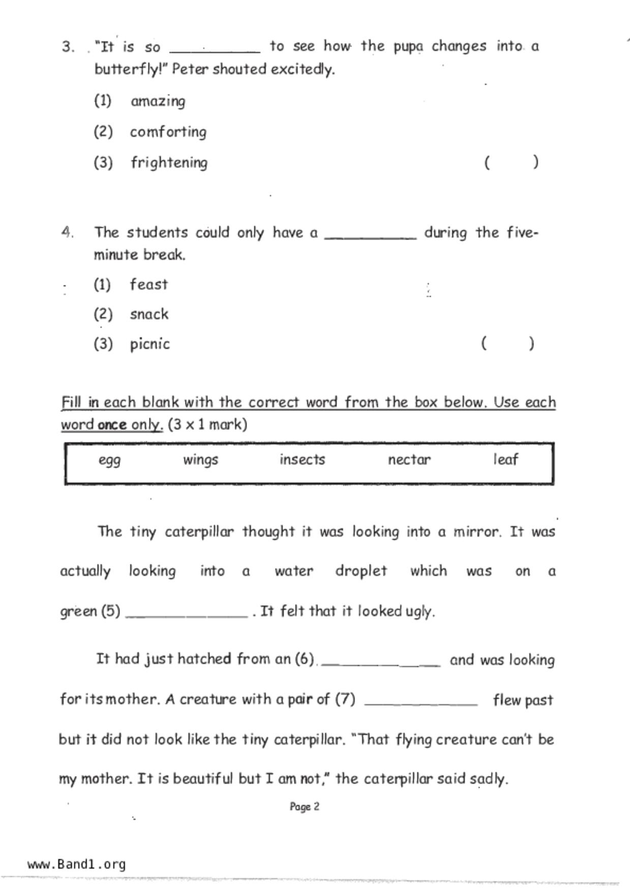 P2English試卷