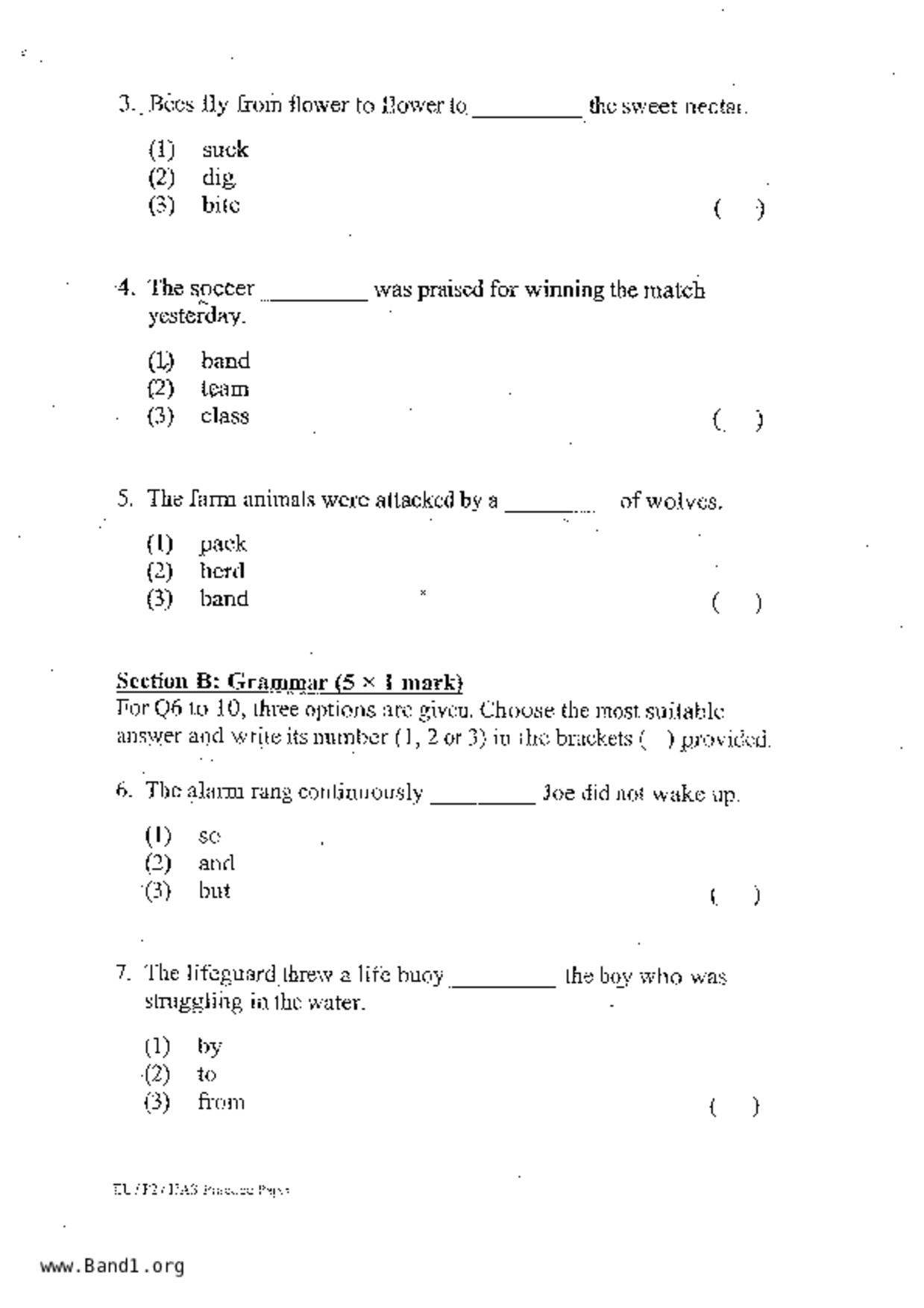 P2English試卷