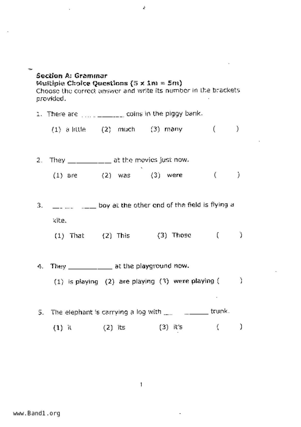 P2English試卷