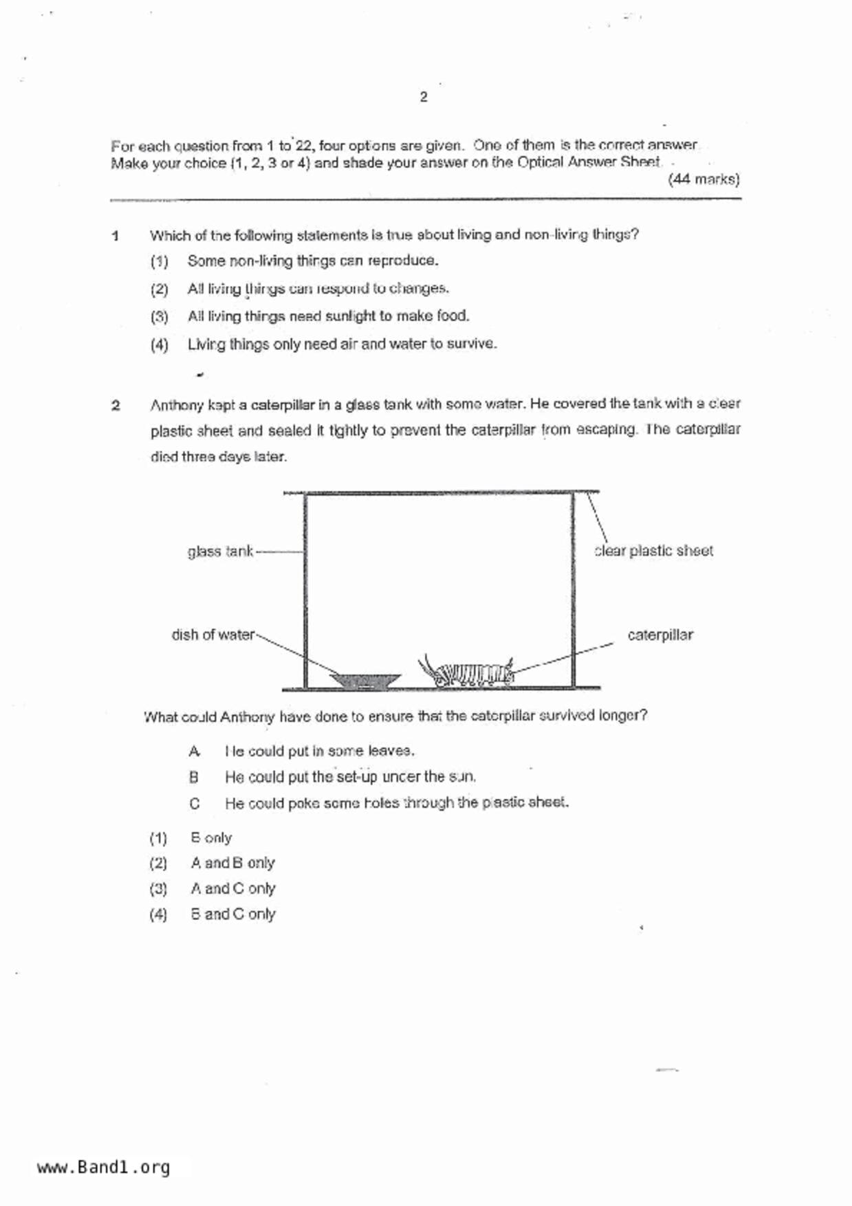 P3Science試卷