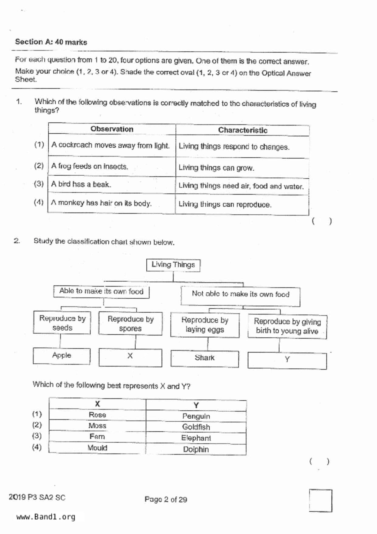 P3Science試卷