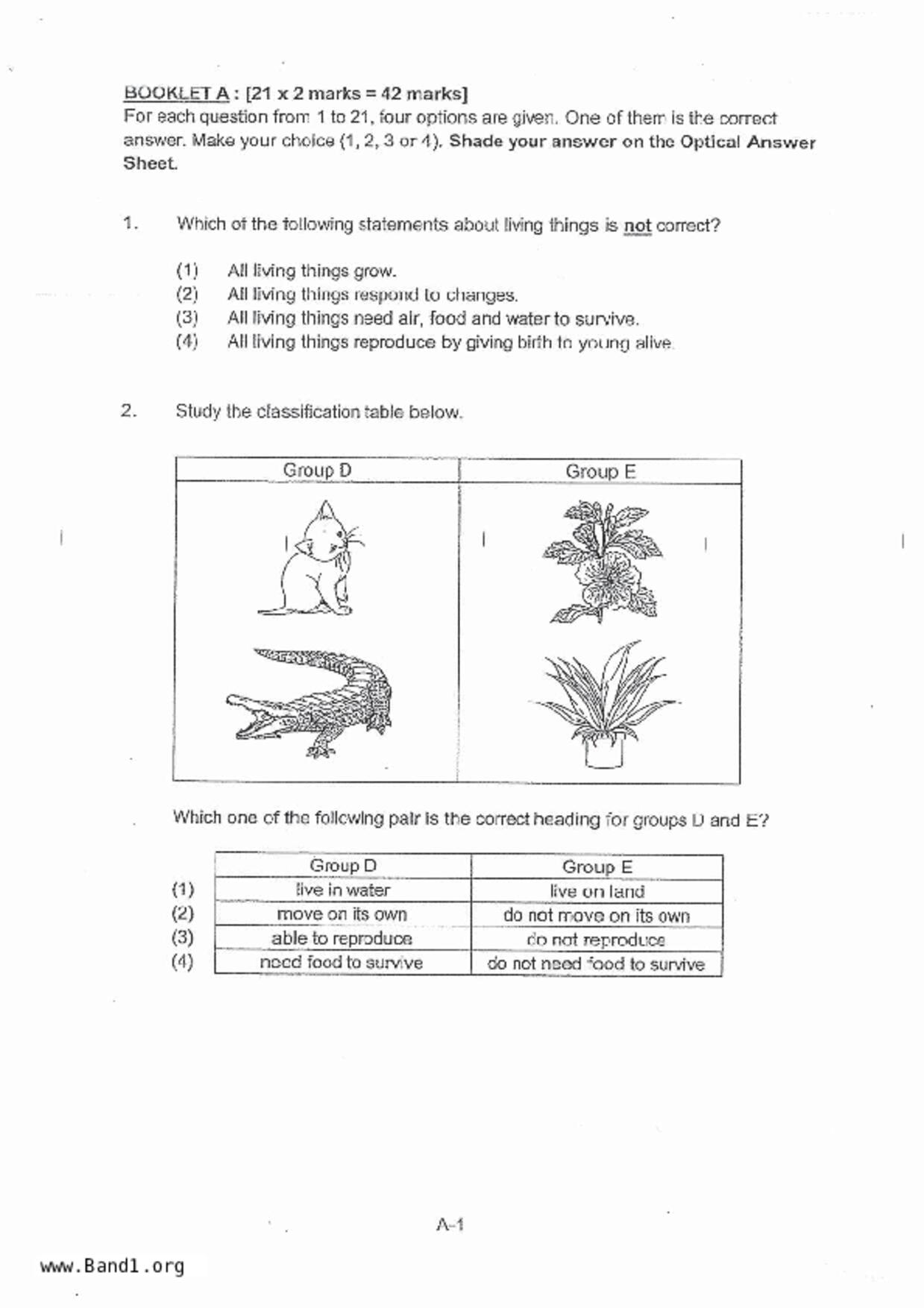 P3Science試卷