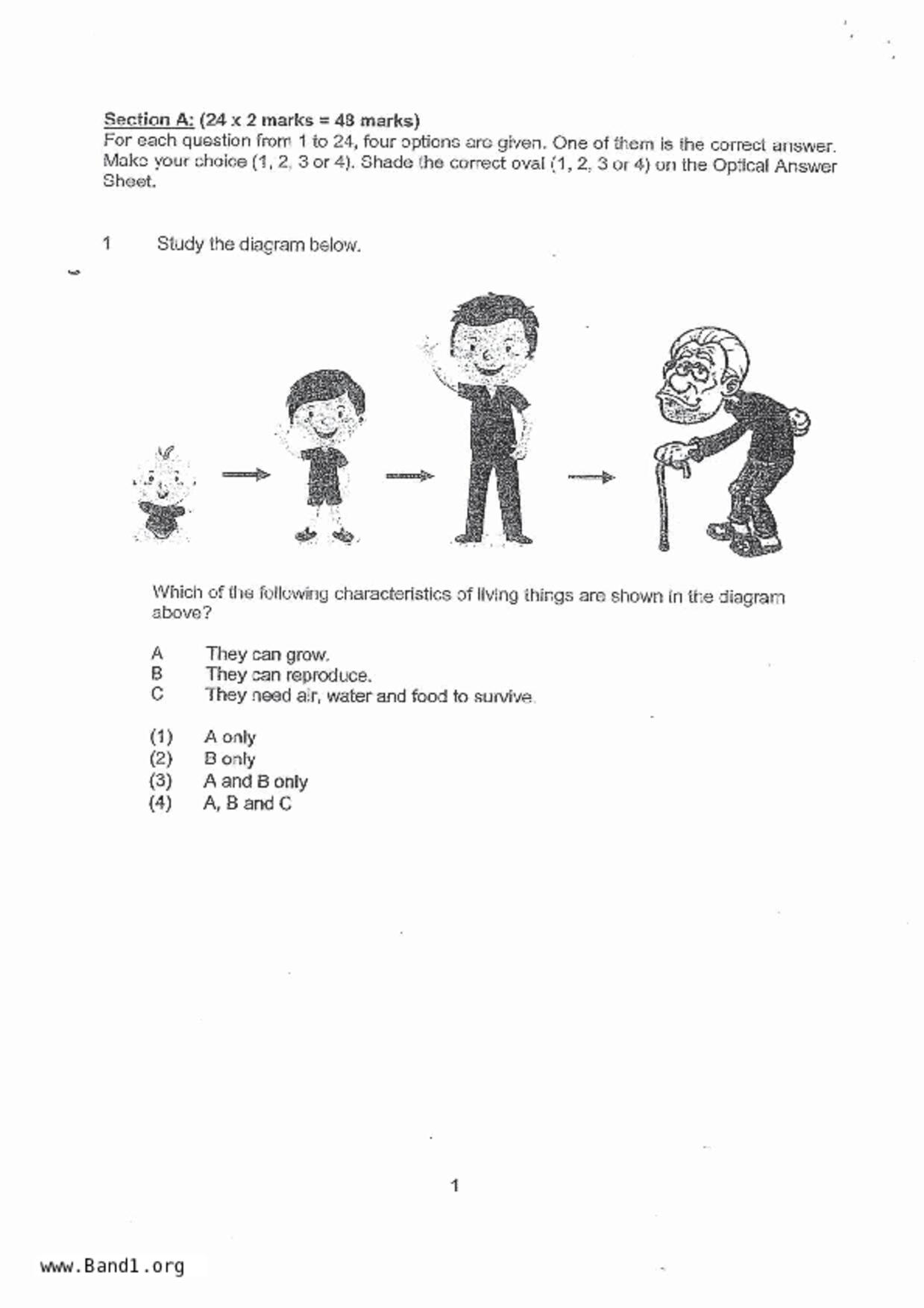 P3Science試卷