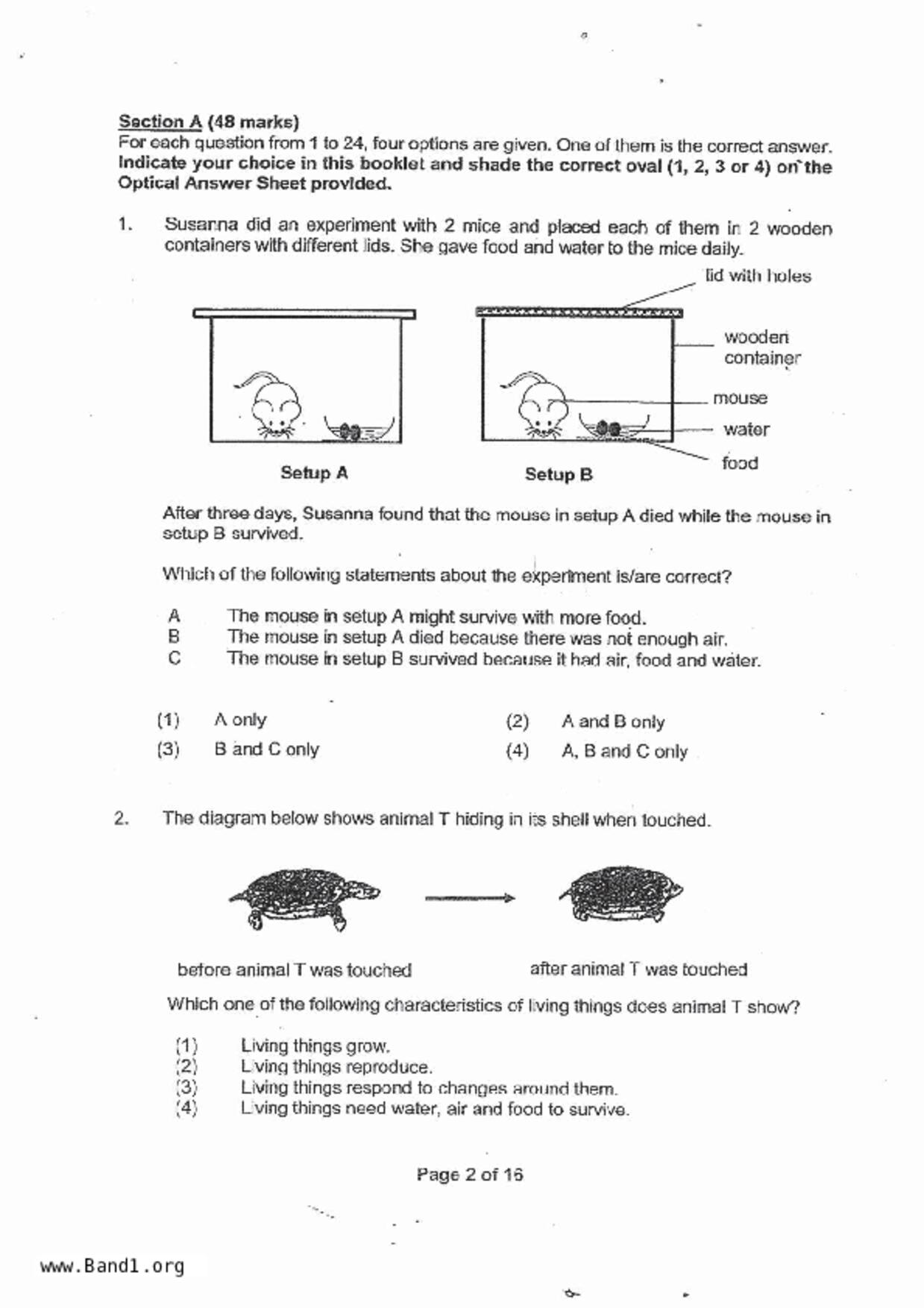 P3Science試卷