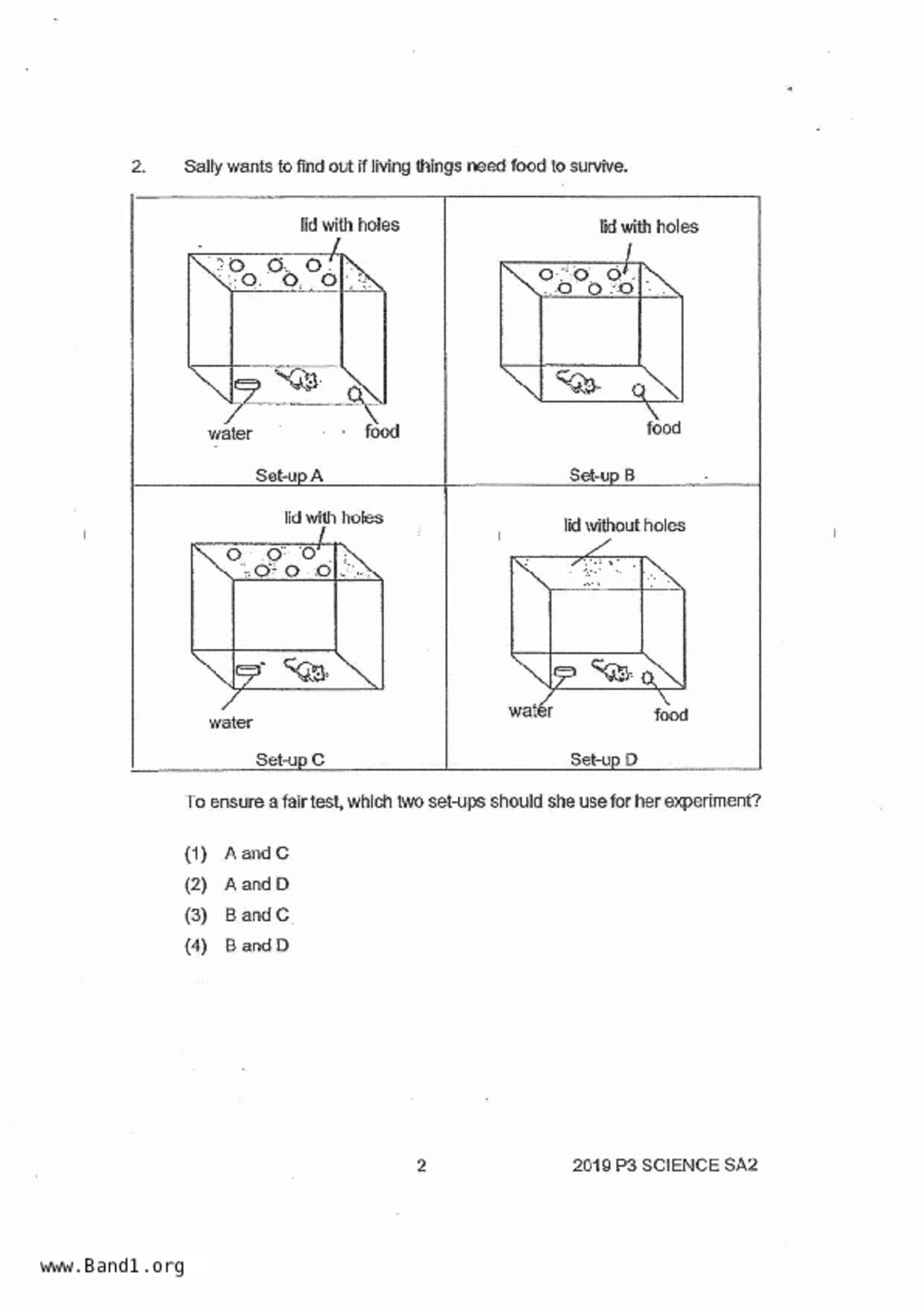 P3Science試卷