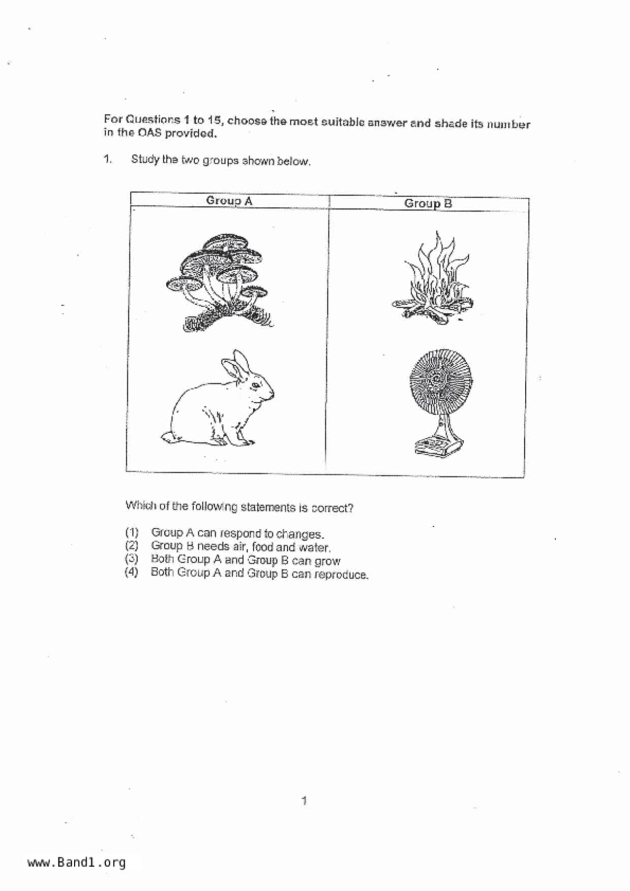 P3Science試卷