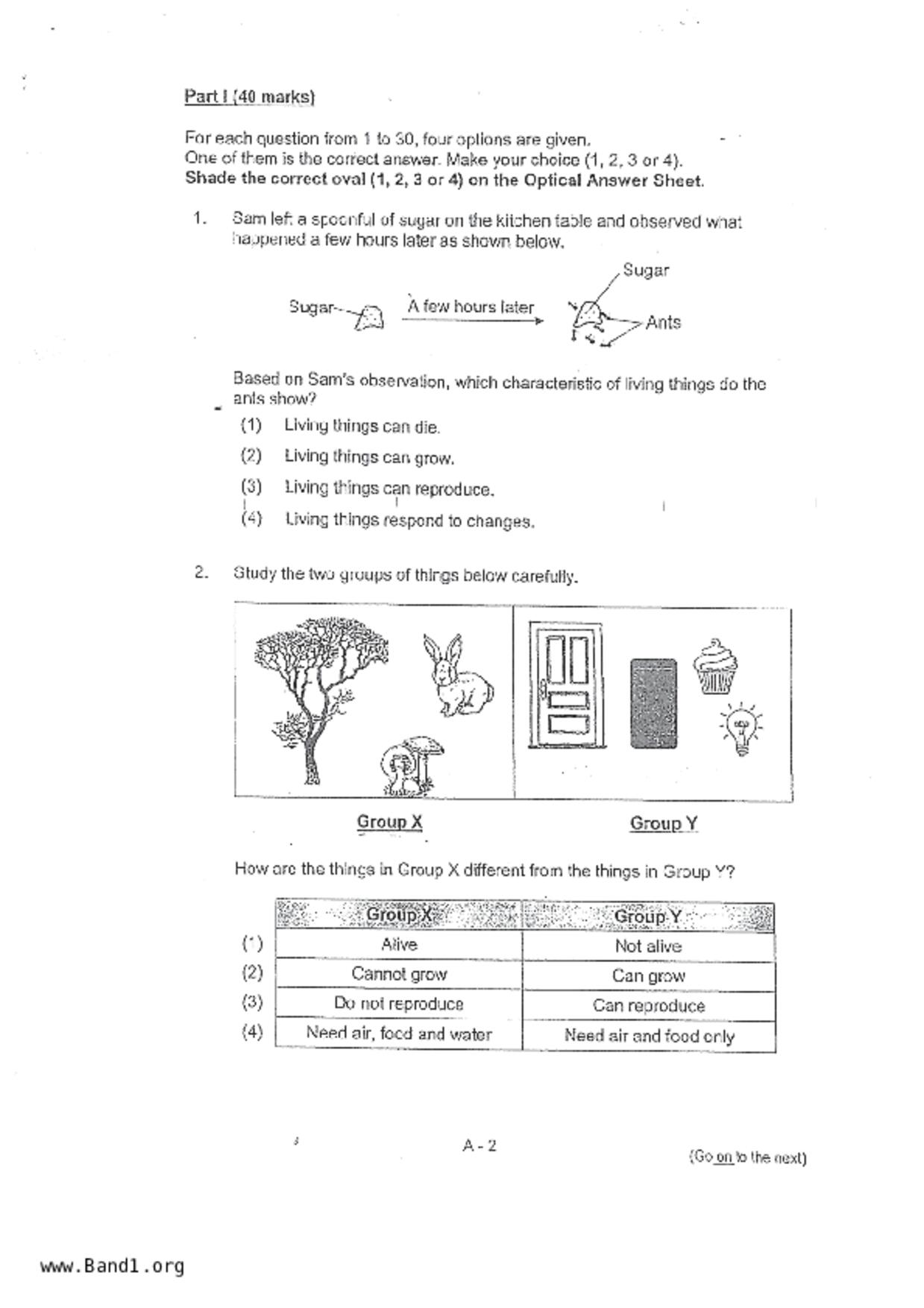 P3Science試卷