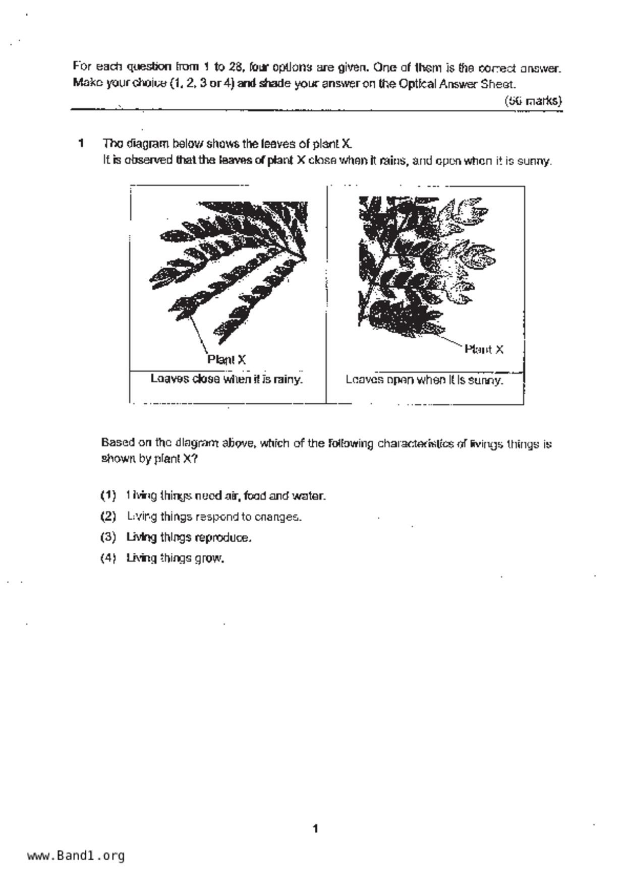 P3Science試卷